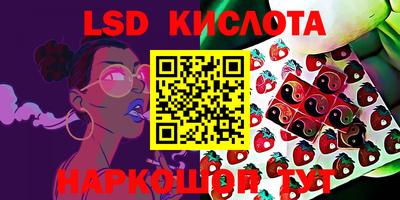 эйфоретик Кулебаки
