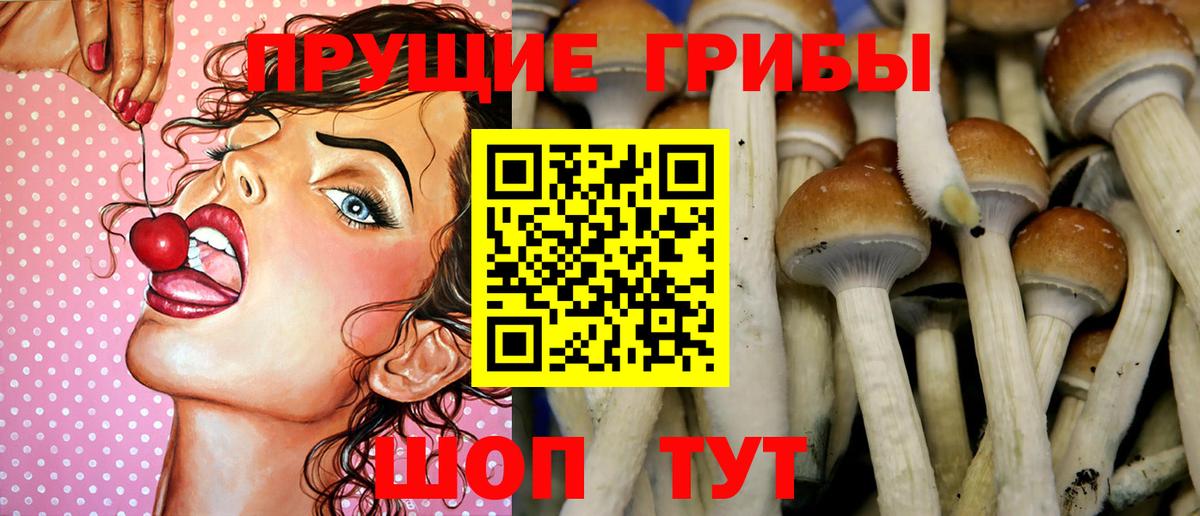 Каменск-Шахтинский  Псилоцибиновые грибы Magic Shrooms  что такое   Вход с VPN  Галлюциногенные грибы мухоморы 