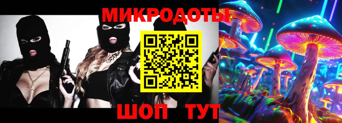 Псилоцибиновые грибы Cubensis Каменск-Шахтинский